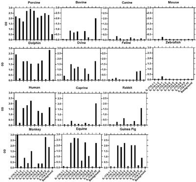 Development and Characterization of New Monoclonal Antibodies Against Porcine Interleukin-17A and Interferon-Gamma